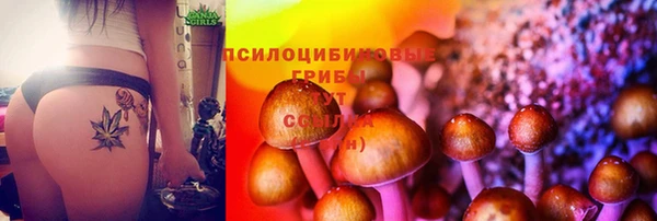 скорость Кукмор