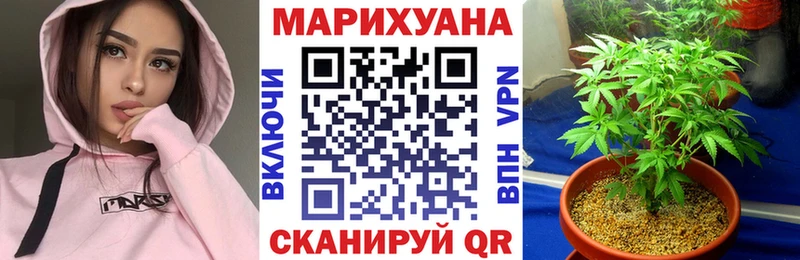 Конопля гибрид Уяр